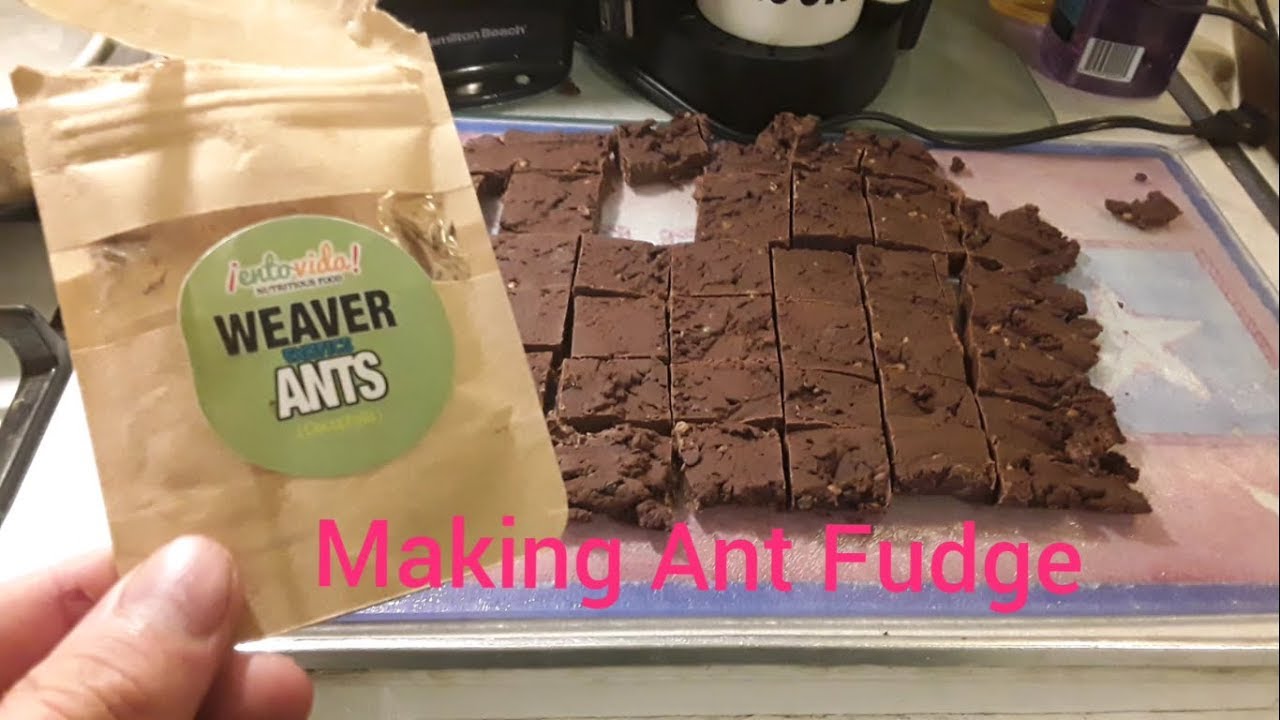 Making & Eating Fudge Made With Real Ants