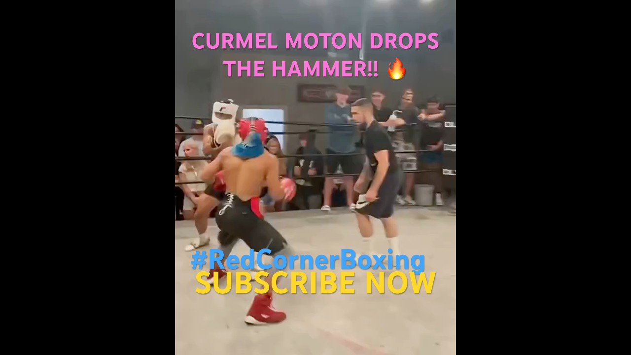 Curmel Moton DROPS THE HAMMER!! #Boxing #CurmelMoton #SOB #RedCornerBoxing
