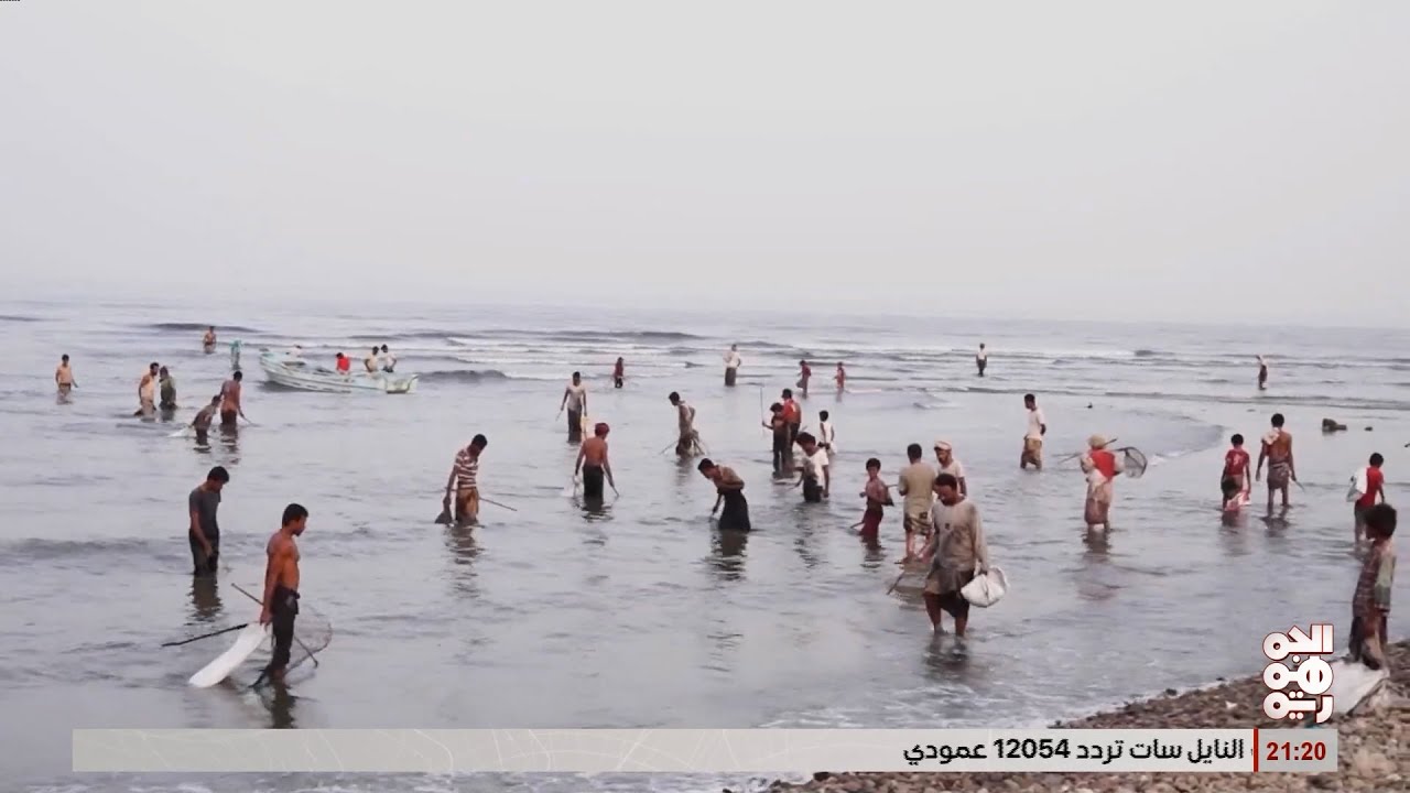 البردة .. موسم خير الاسماك تاتي الى سواحل الخوخة  دون عناء