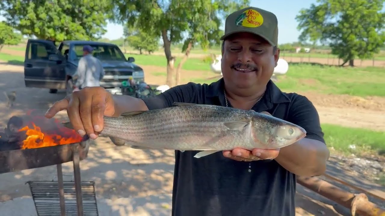 Para rellenar un pescado estas son las mejores lisas rellenas a las brasas en el árbol son mejores 