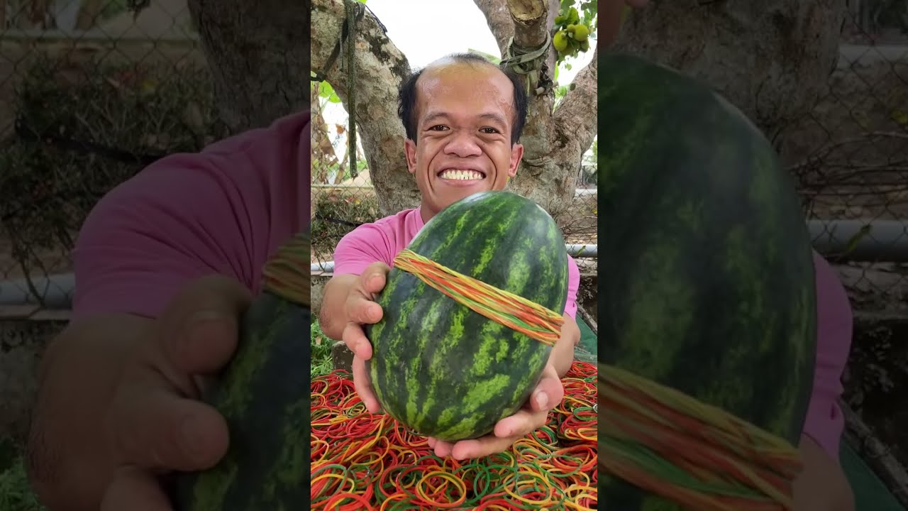 🔴 How many Rubber Bands Until the Watermelon Flies ? The moment It Finally Burst