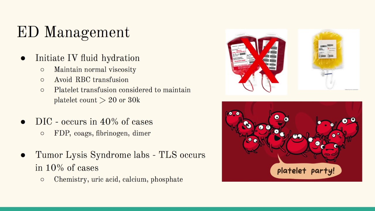 Dr  Calvin Tan   Hyperleukocytosis and Leukostasis