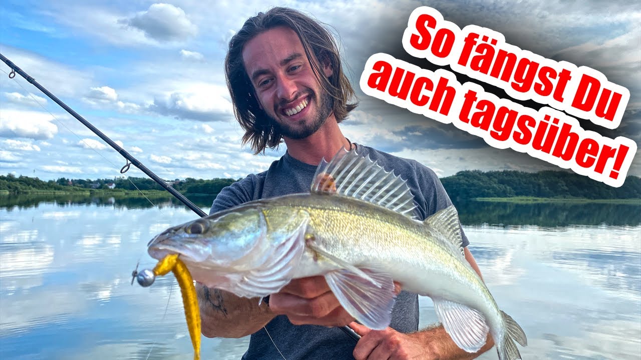 Zander TAGS&Uuml;BER fangen - 6 einfache Tipps f&uuml;r SOFORT Erfolg!