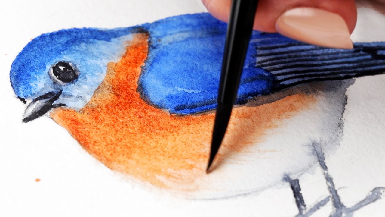 Watercolor Backyard Birds Easy Bluebird Painting Tutorial