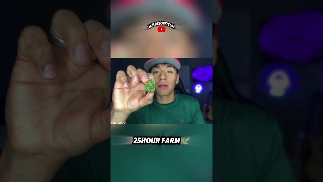 25HOUR FARM 28GRAMS REVIEW &hellip;