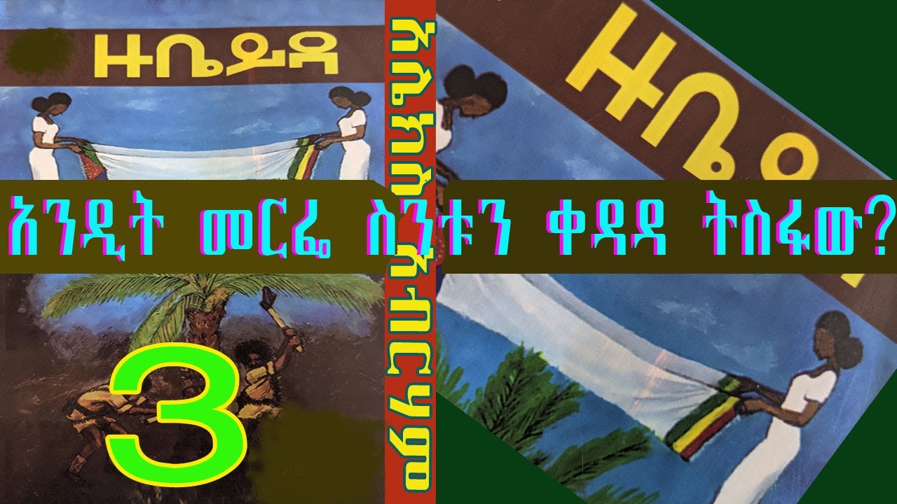 አንዲት መርፌ ስንቱን ቀዳዳ ትስፋው/ ዙቤይዳ. . . ደራሲ አሌክስ አብርሃም /ተራኪ የእሰይነሽ ልጅ/Alex Abirham 3