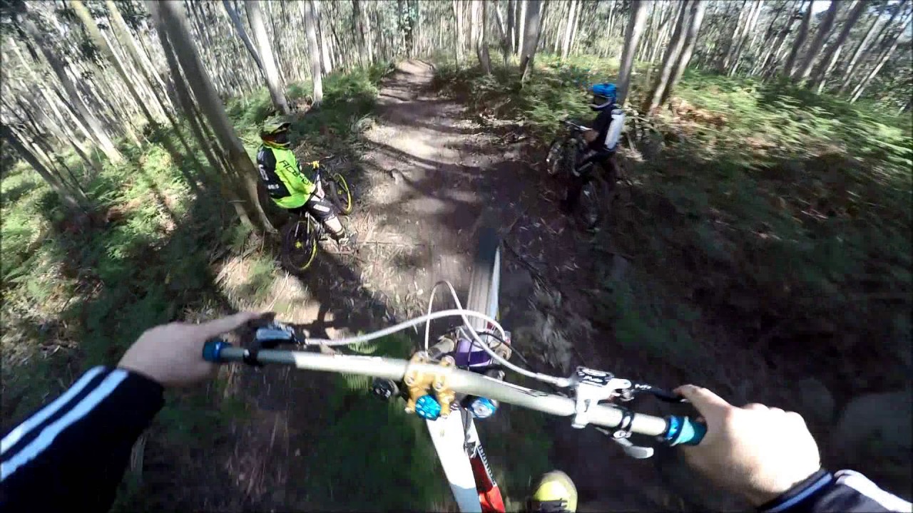 Dh Kamikazes 2017