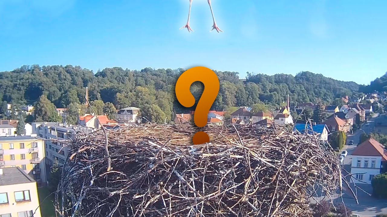 Jak umíme létat
