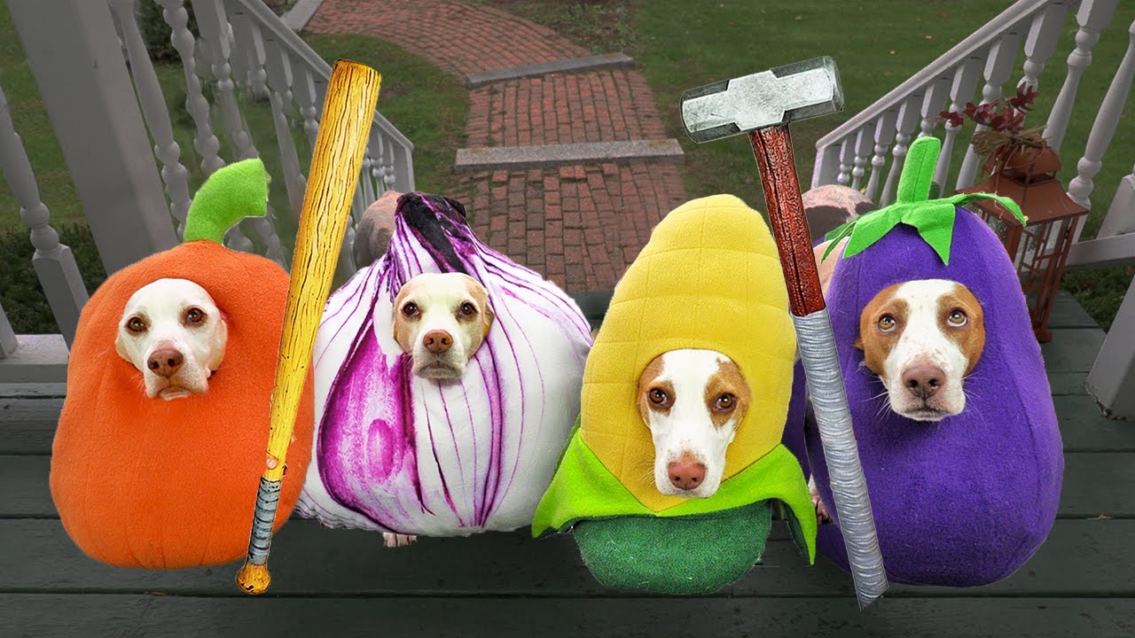 Dogs Steal Neighbor's Candy on Halloween: Bad Dog Maymo & Friends Trick-or-Treat Prank!