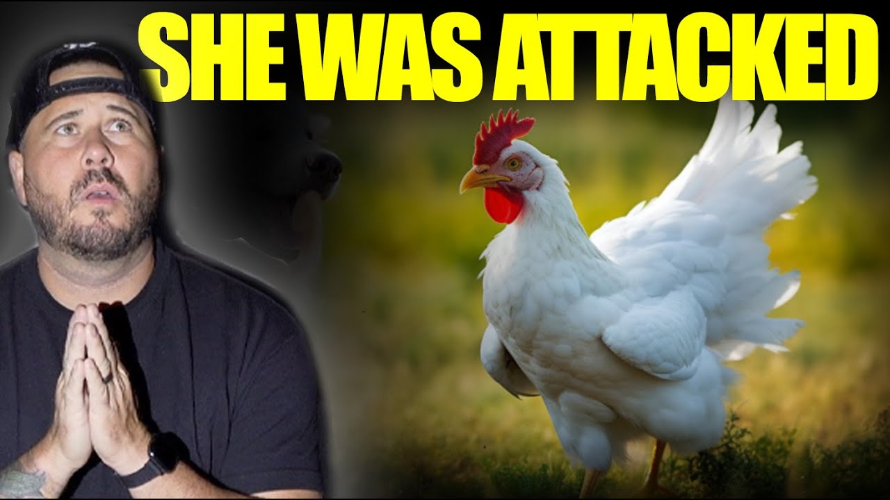 Something Attacked My Chickens!