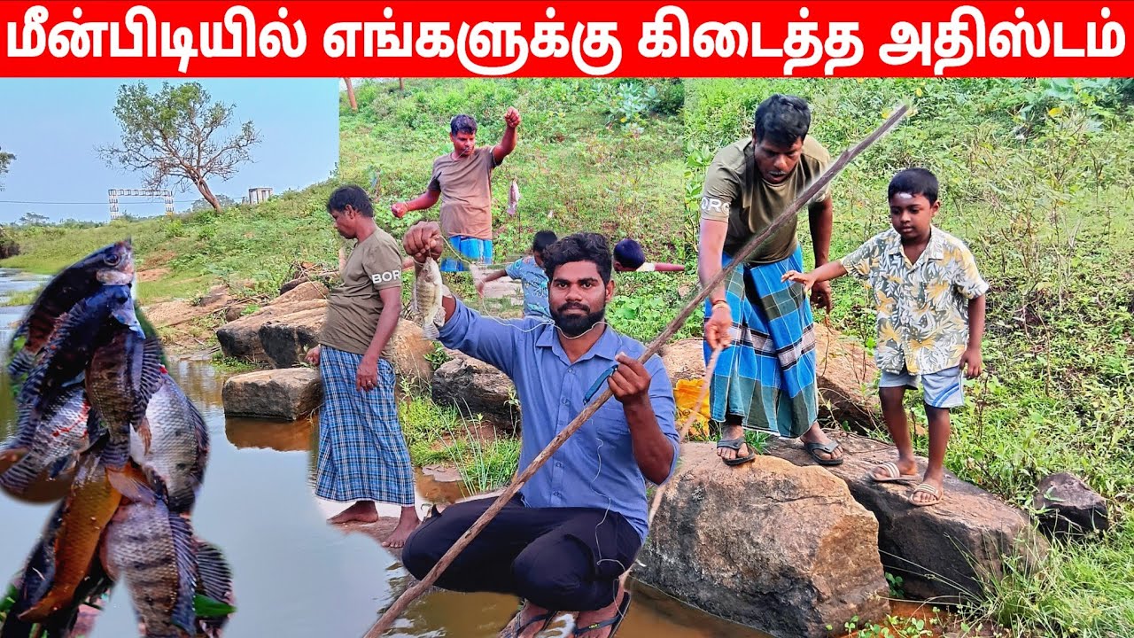 ஒரு தூண்டிலில் 4 வகையான மீன்கள் பிடித்துவிட்டோம் l village life 💚 vanni bro 