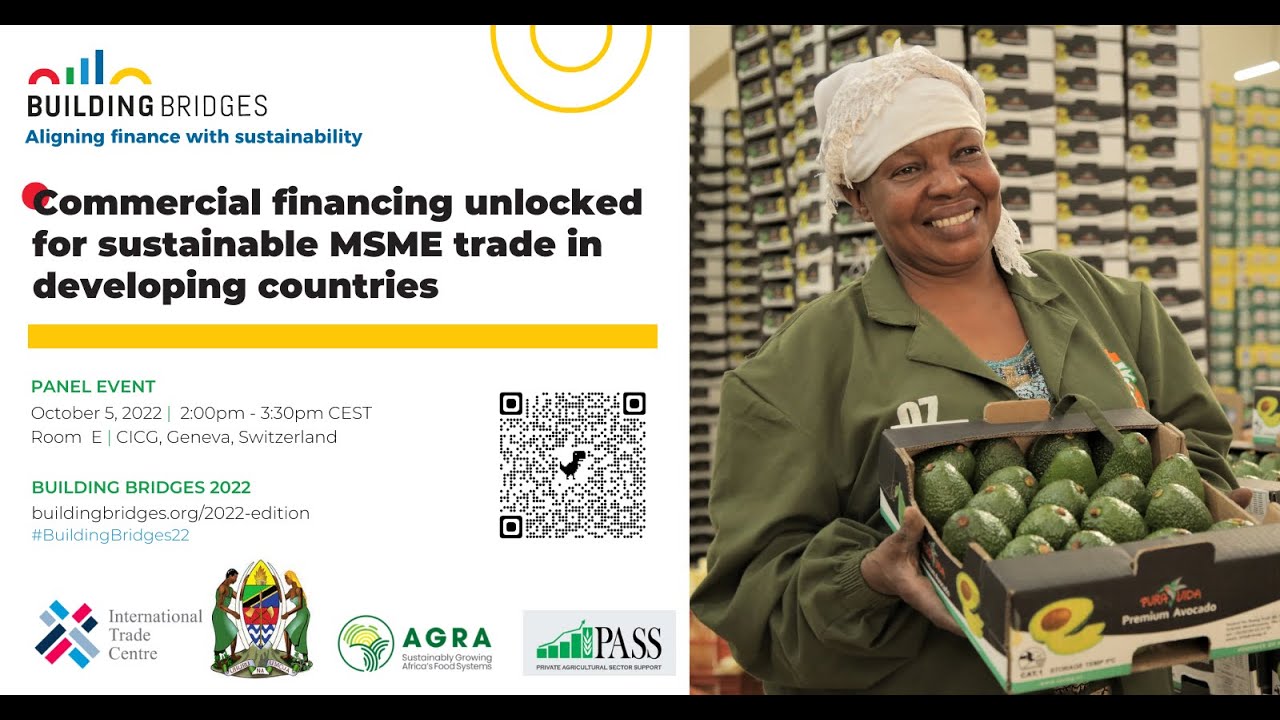 Commercial Financing Unlocked for Sustainable MSME Trade in Developing Countries - BB22