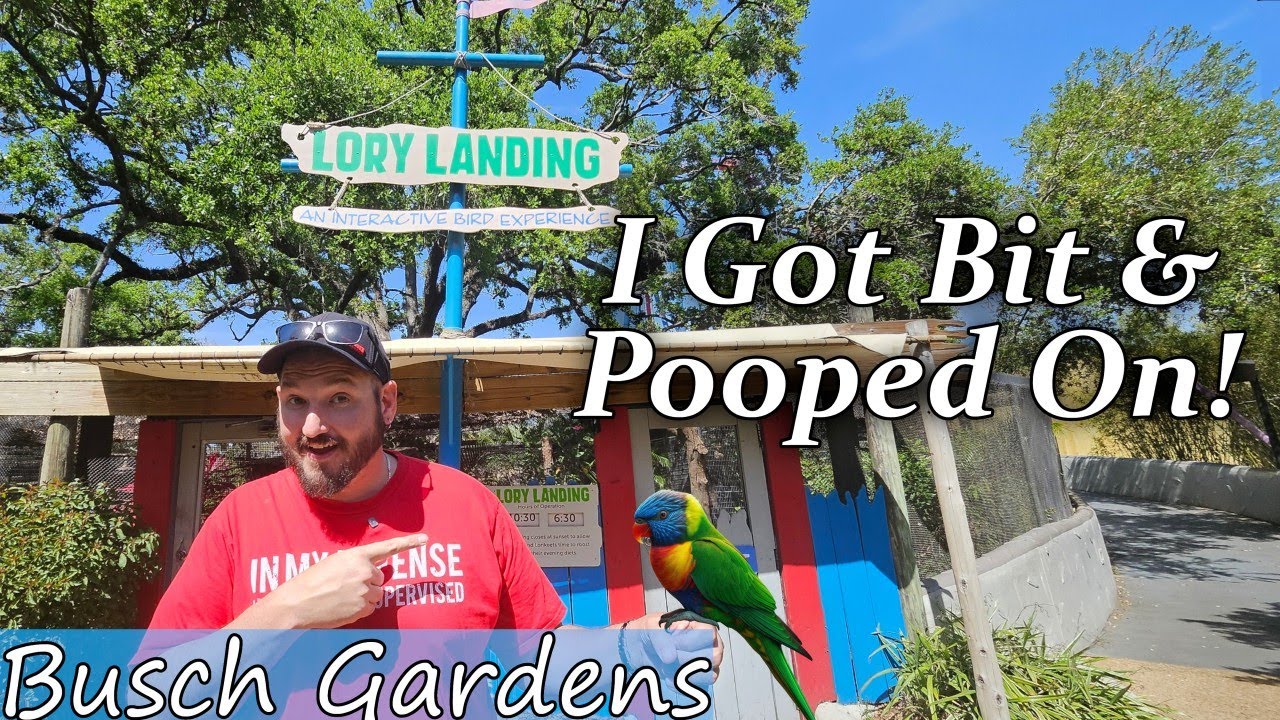 This Bird Bit Me and Pooped on Me at Busch Gardens, Lory Landing