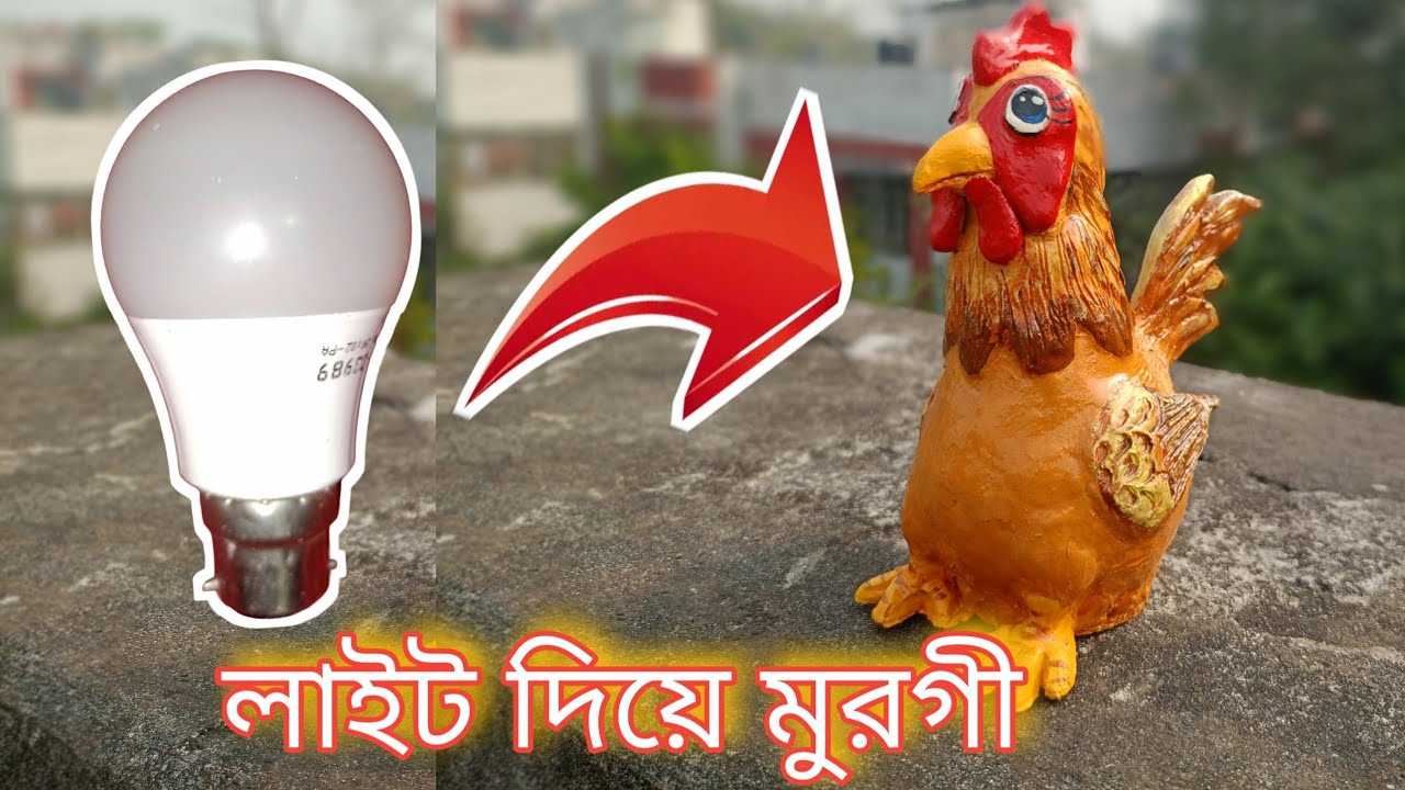 নষ্ট লাইট থেকে মুরগী তৈরী 