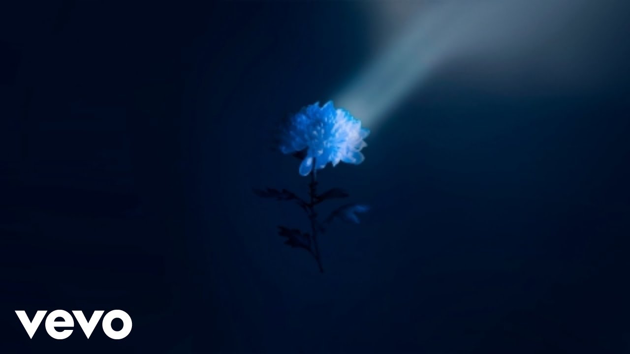 Raony - Strong Without You (Official Video)