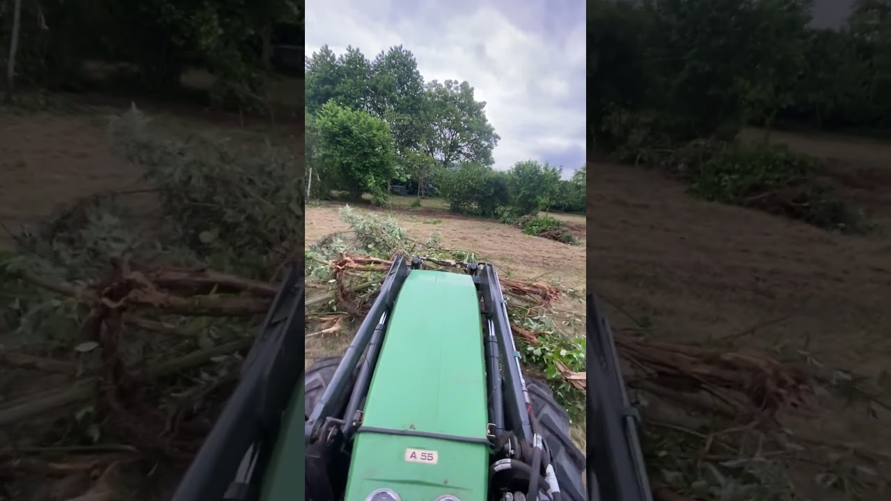 Holder A55 mit Golchert Frontlader