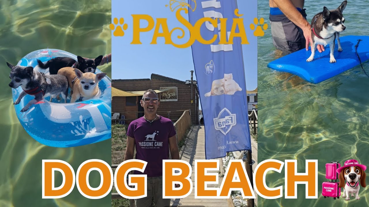 Pascià Glam Dog Beach  Paradiso per Cani in Toscana!