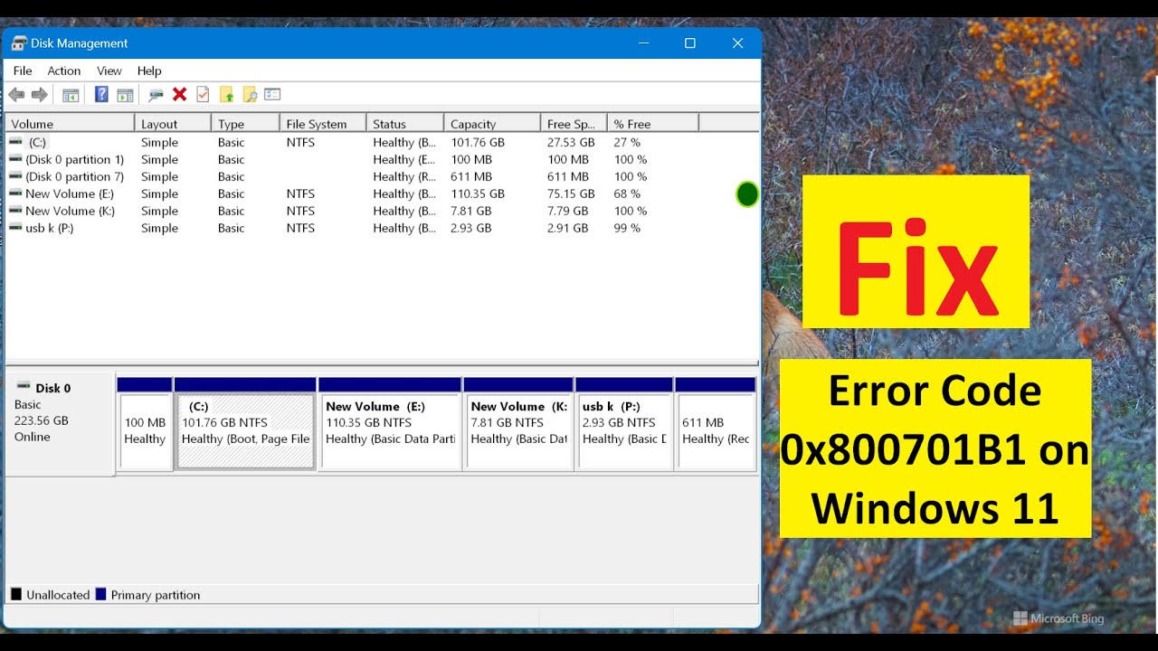 How to Fix Error Code 0x800701B1 on Windows 11
