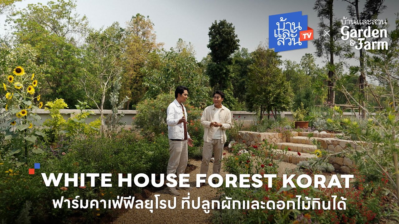 White House Forest Korat ฟาร์มคาเฟ่ฟีลยุโรป ที่ปลูกผักและดอกไม้กินได้ | บ้านและสวนทีวี