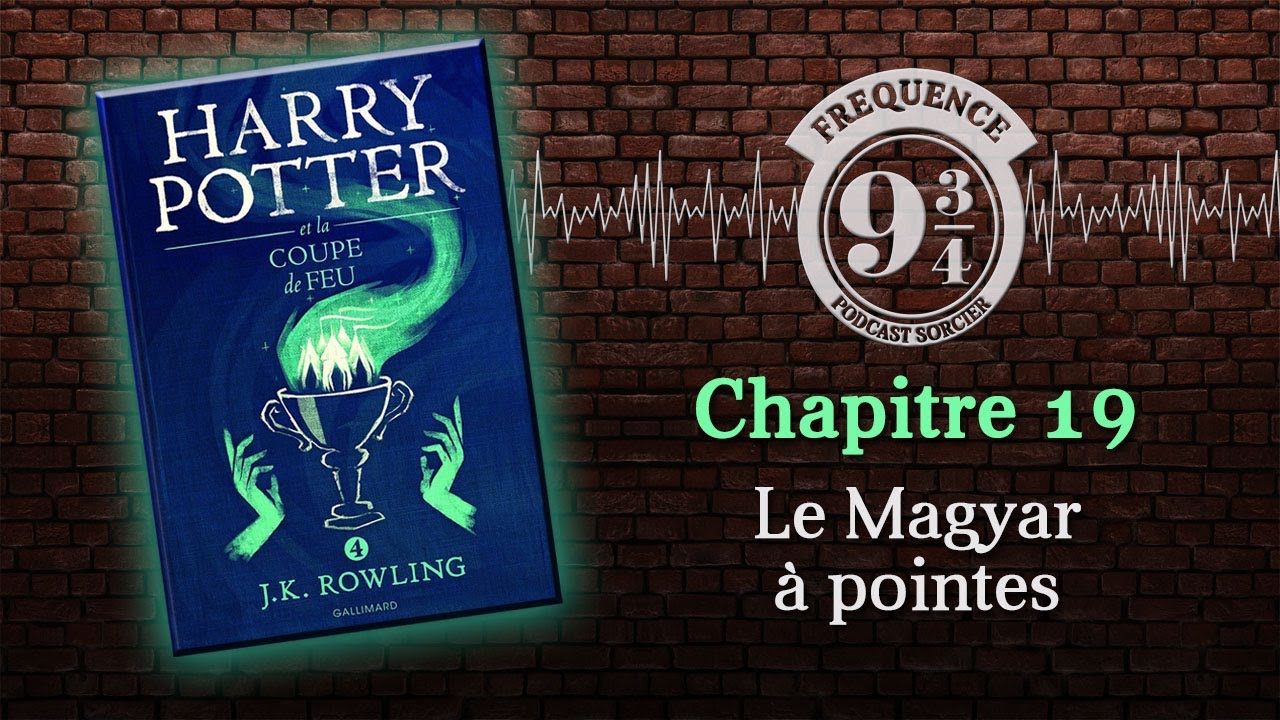 Le Magyar à pointes (Harry Potter 4, chapitre 19)