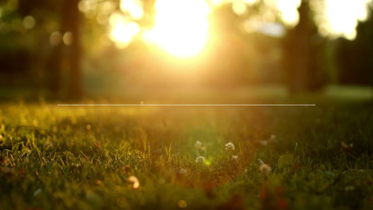 Meditatie de Recunostinta care iti schimba viata complet!