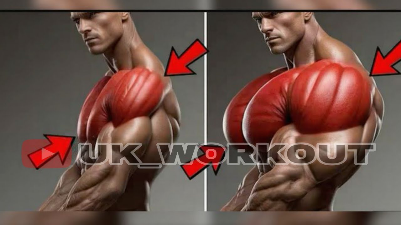 Your Shoulder Need These Exercises