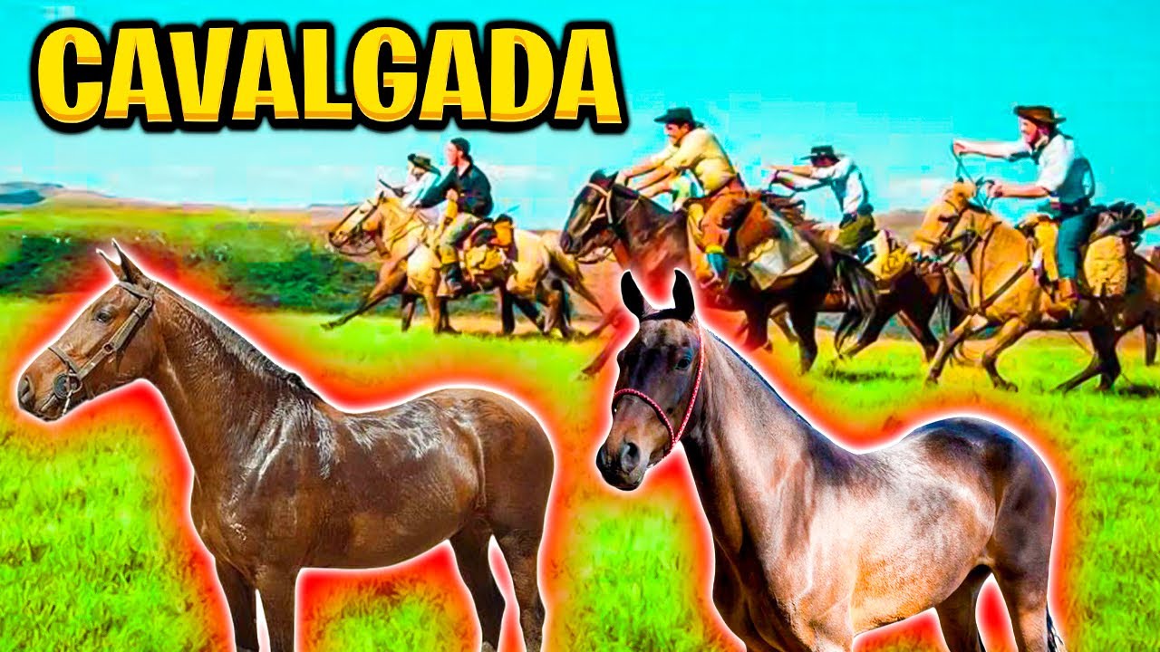 PRIMEIRA CAVALGADA com as NOVAS ÉGUAS