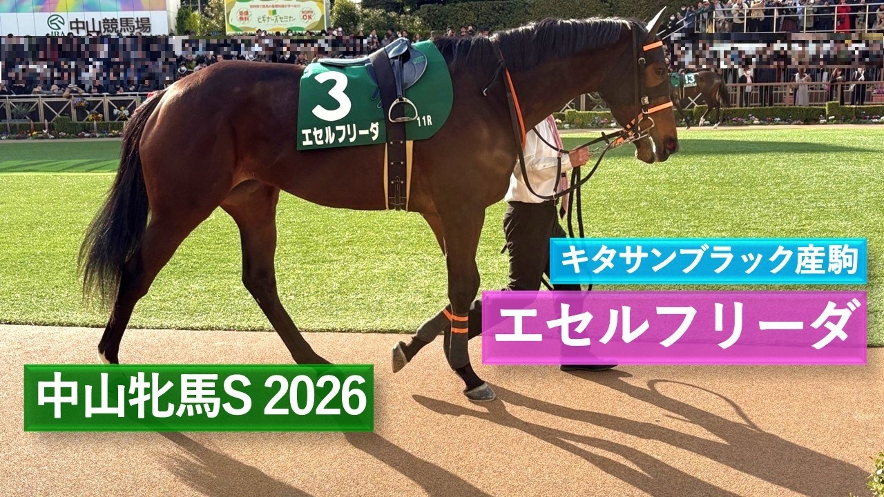 2026年 中山牝馬ステークス | エセルフリーダ | ビヨンドザヴァレー | パラディレーヌ | エリカエクスプレス | パドック 現地映像 全頭 | 中山競馬場 | 芝1,800