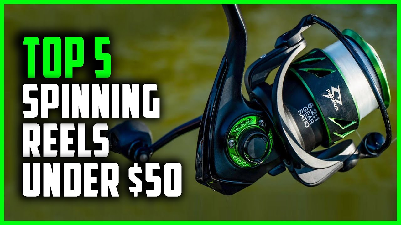 Top 5 Best Spinning Reels Under 50 in 2024