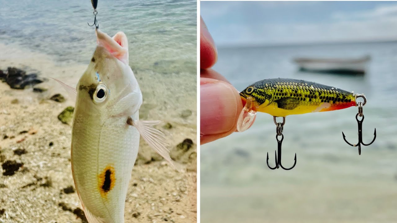 Ep#4- How i catch fish with a Rapala Micro Lure from SHORE.. Fishing in Mauritius..