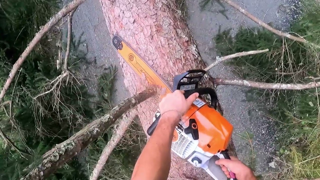 Holzf&auml;llen zuf&auml;llen Bagger Prozessor / Stihl 400c