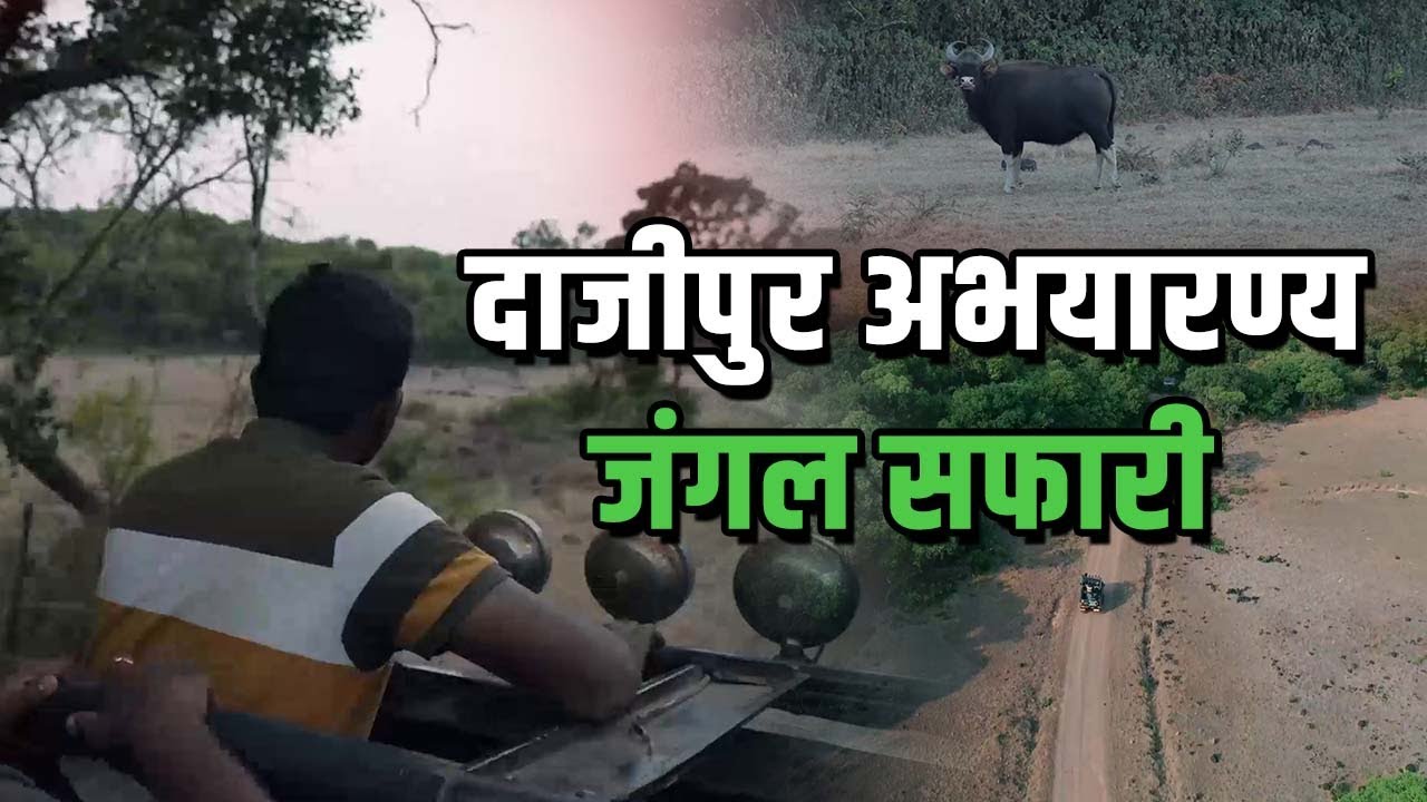 कोल्हापूर ची वनराई 