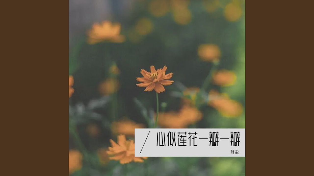 心似莲花一瓣一瓣