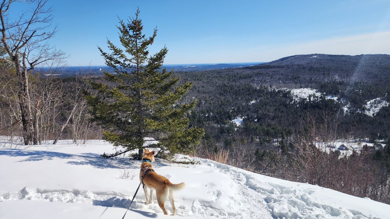 Quick hike to Burton Mountain on Wapack trail.  2/15/26.