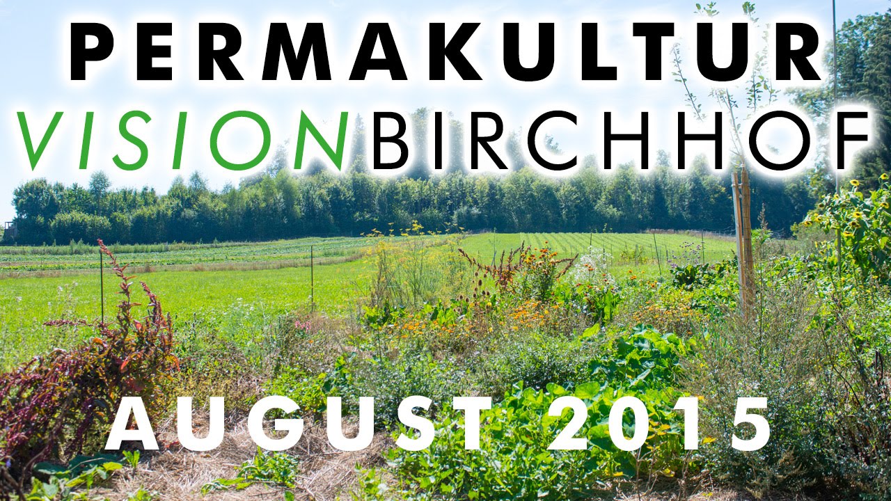 Permakultur Projekt Vision Birchhof September 2015