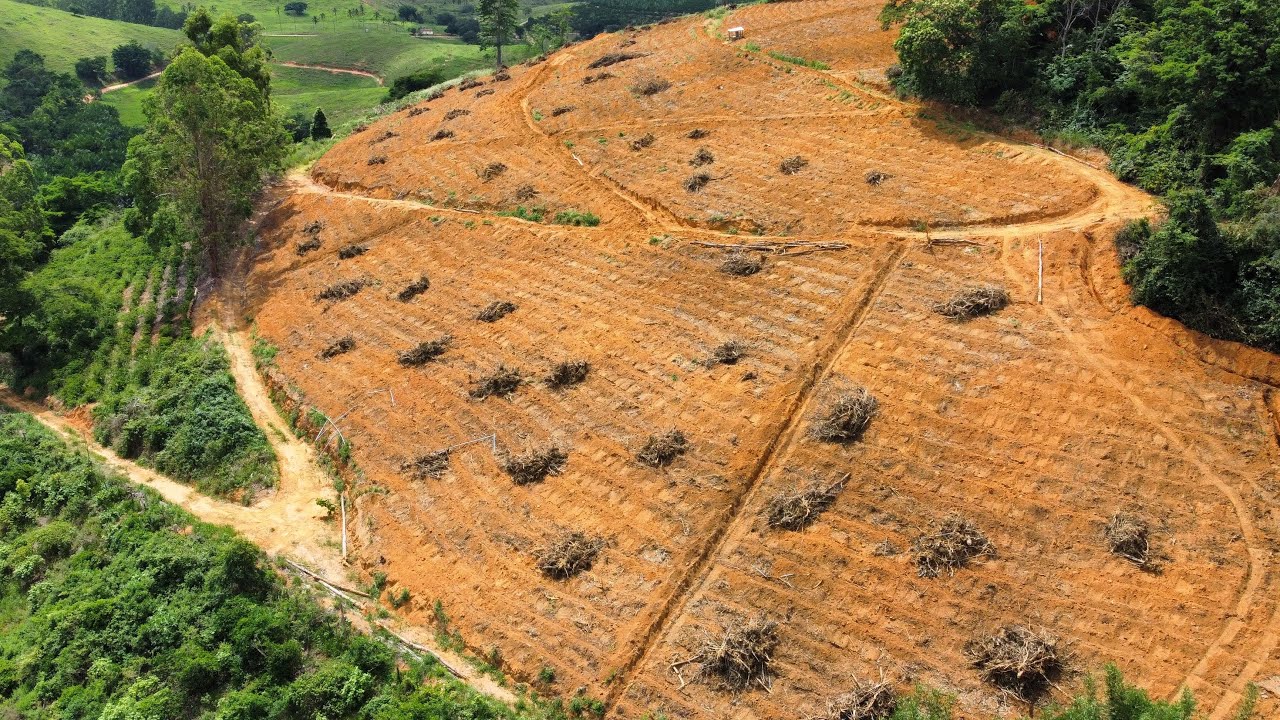 SULCANDO &Aacute;REA PARA PLANTIO DE CAF&Eacute; ESCAVADEIRA HIDR&Aacute;ULICA