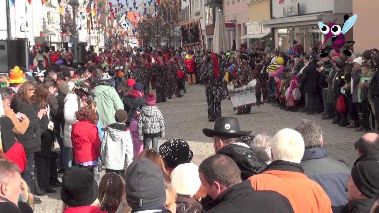 Wir sind Ehingen der Fasnetsumzug 1   11