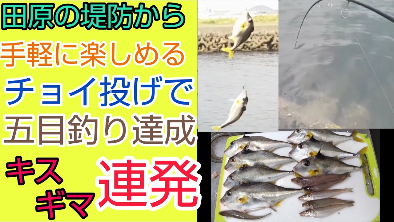 ２０２２年【夏休みの釣り】堤防から気軽に楽しめるチョイ投げ釣りでキスと引きの強いギマ連発。五目釣りも達成！