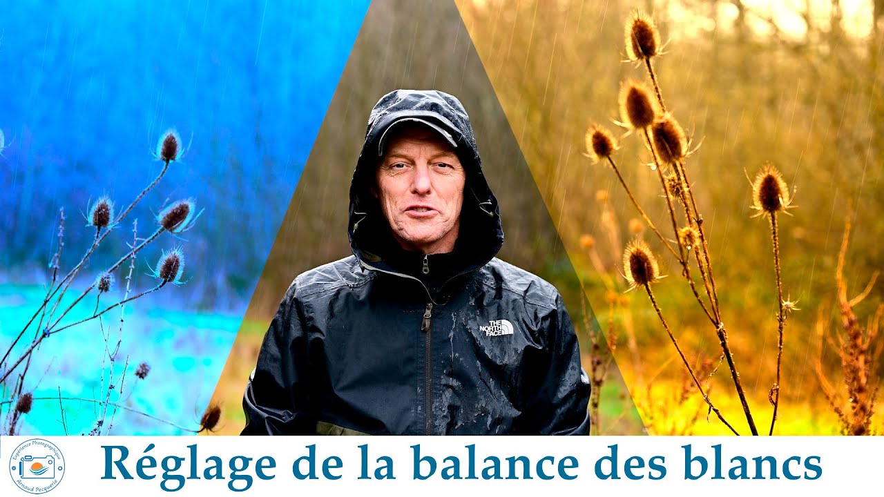 L'influence de la balance des blancs sur vos photos