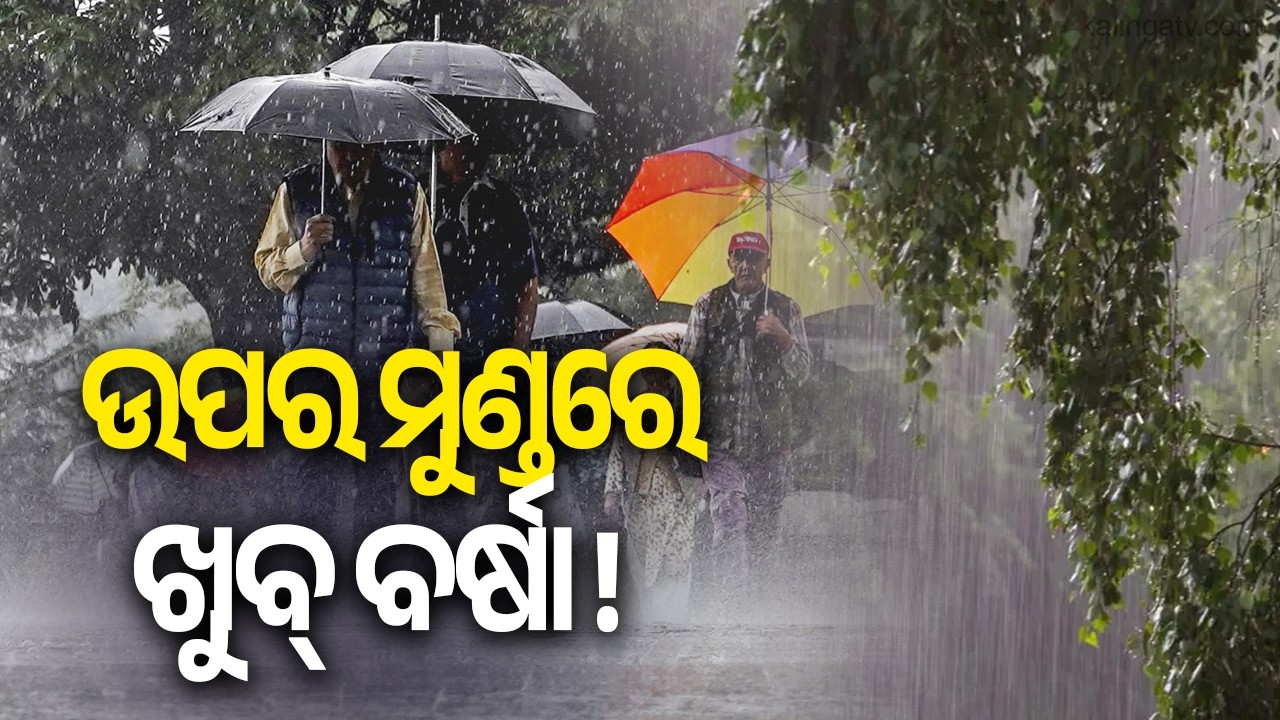 IMD issues orange warning for rain in Odisha | Kalinga TV