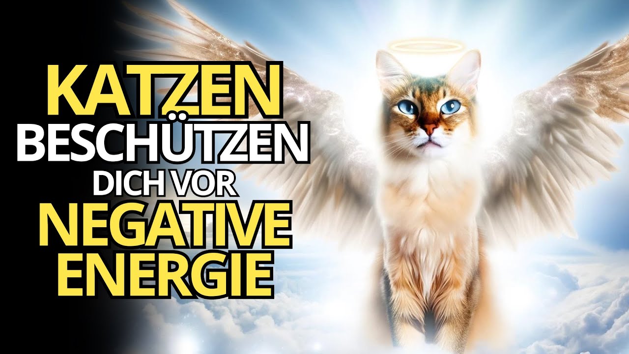 😺 Bewiesen: Ihre Katze Schützt Sie vor Negativer Energie!