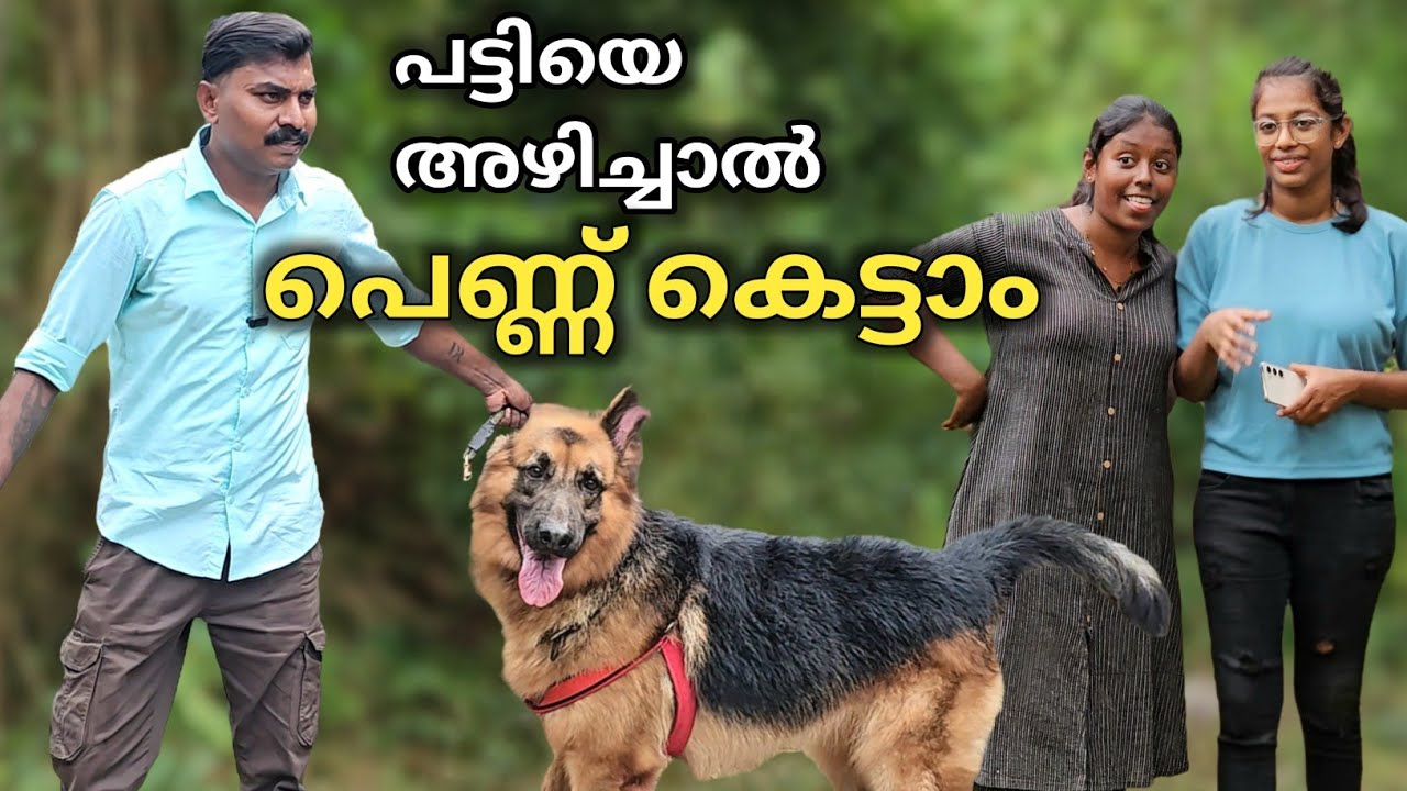 പട്ടി കടിച്ചാൽ പെണ്ണ് കിട്ടില്ല..Dog challenge.. Leash talks