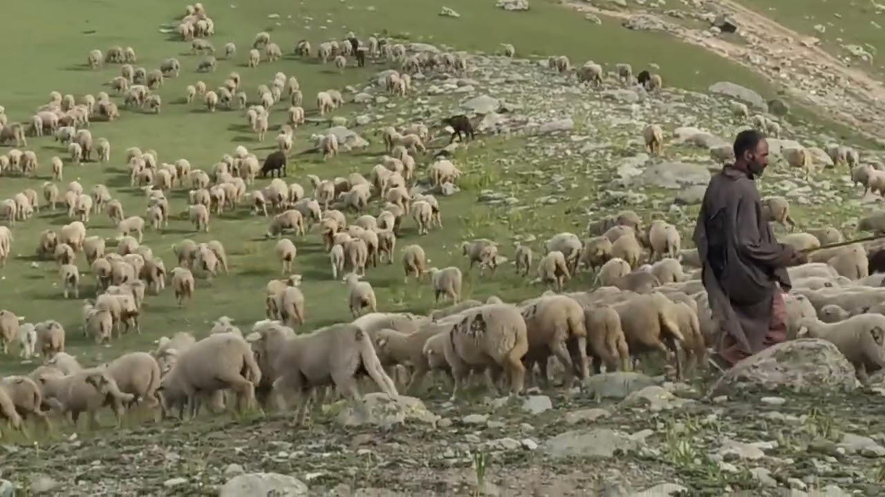 GANIBAL Aka. GANGBAL  |  The Abode of Great Alpine Lakes  |  EXPLORING KASHMIR