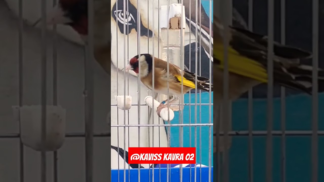 نوطات تبقى في الذاكرة 2