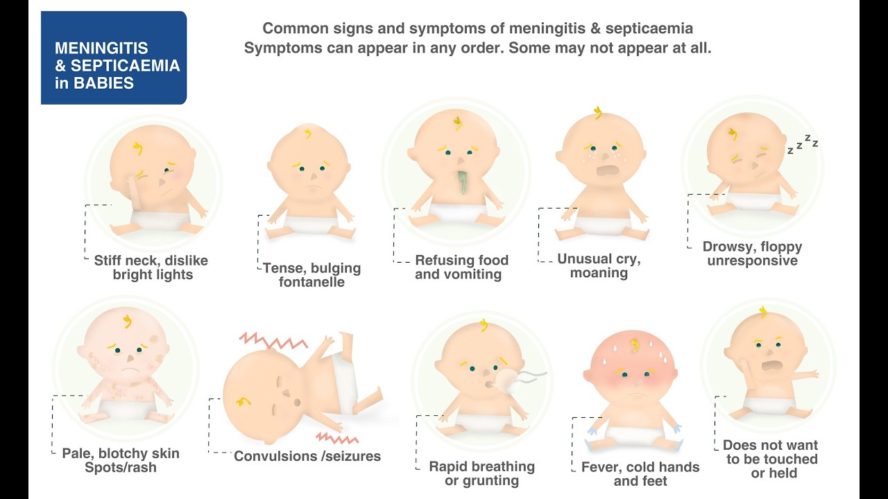 Childhood Meningitis Hospital Experiences; What Families Should Expect During Treatment