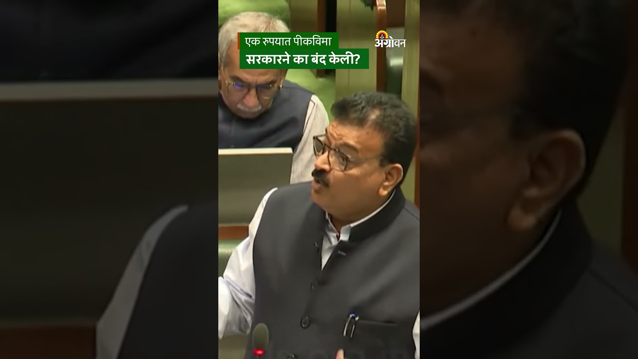 Pik Vima: एक रुपया पीक विमा योजना बंद का केली? | Agrowon | Crop Insurance