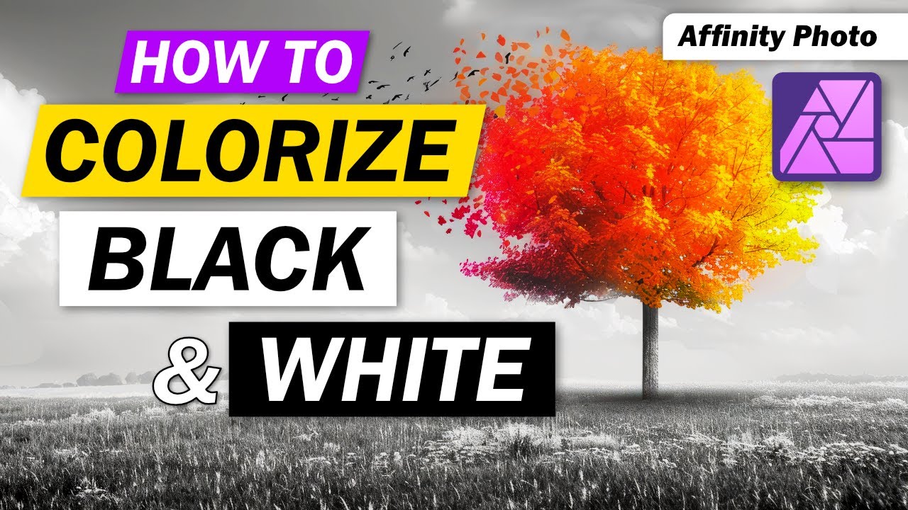 Colorize Black and White Photos - Tutorial for Affinity Photo
