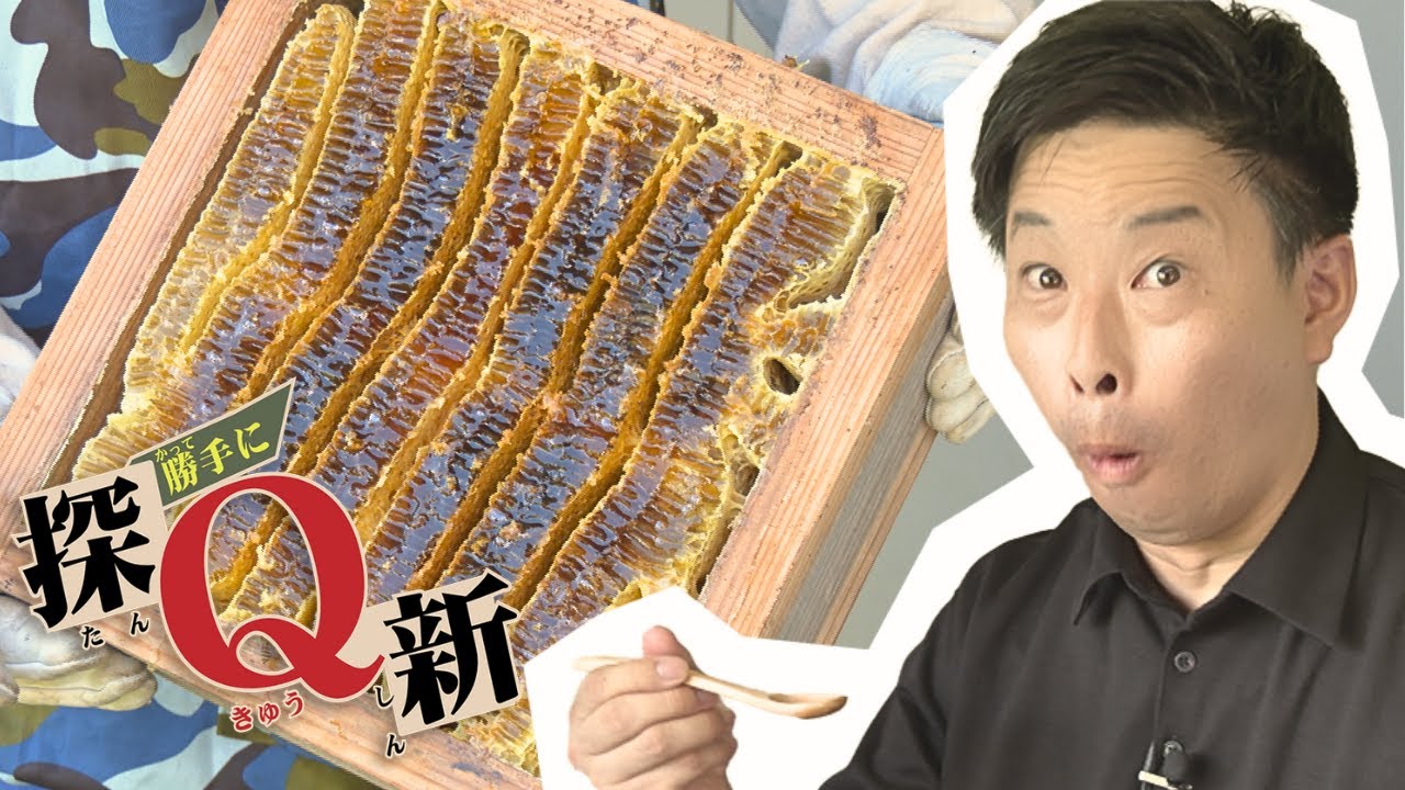 勝手に探Q新７月「幻のはちみつを探Q！～ハニークロス～」