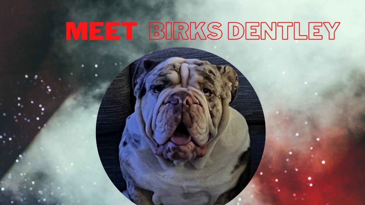 Introducing Bierks Dentley