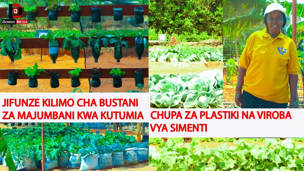 JIFUNZE KILIMO CHA MBOGAMBOGA NYUMBANI KWA KUTUMIA MAKOPO YA MAJI NA MIFUKO YA SIMENTI